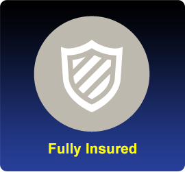 Fully Insured Fully Insured